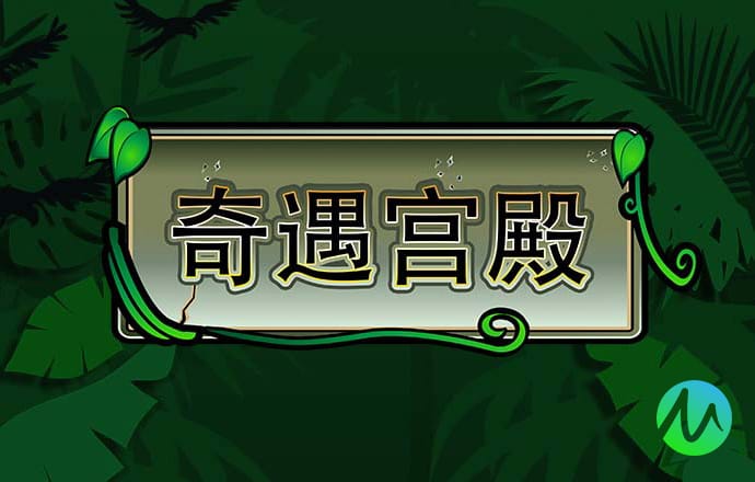 龙珠体育